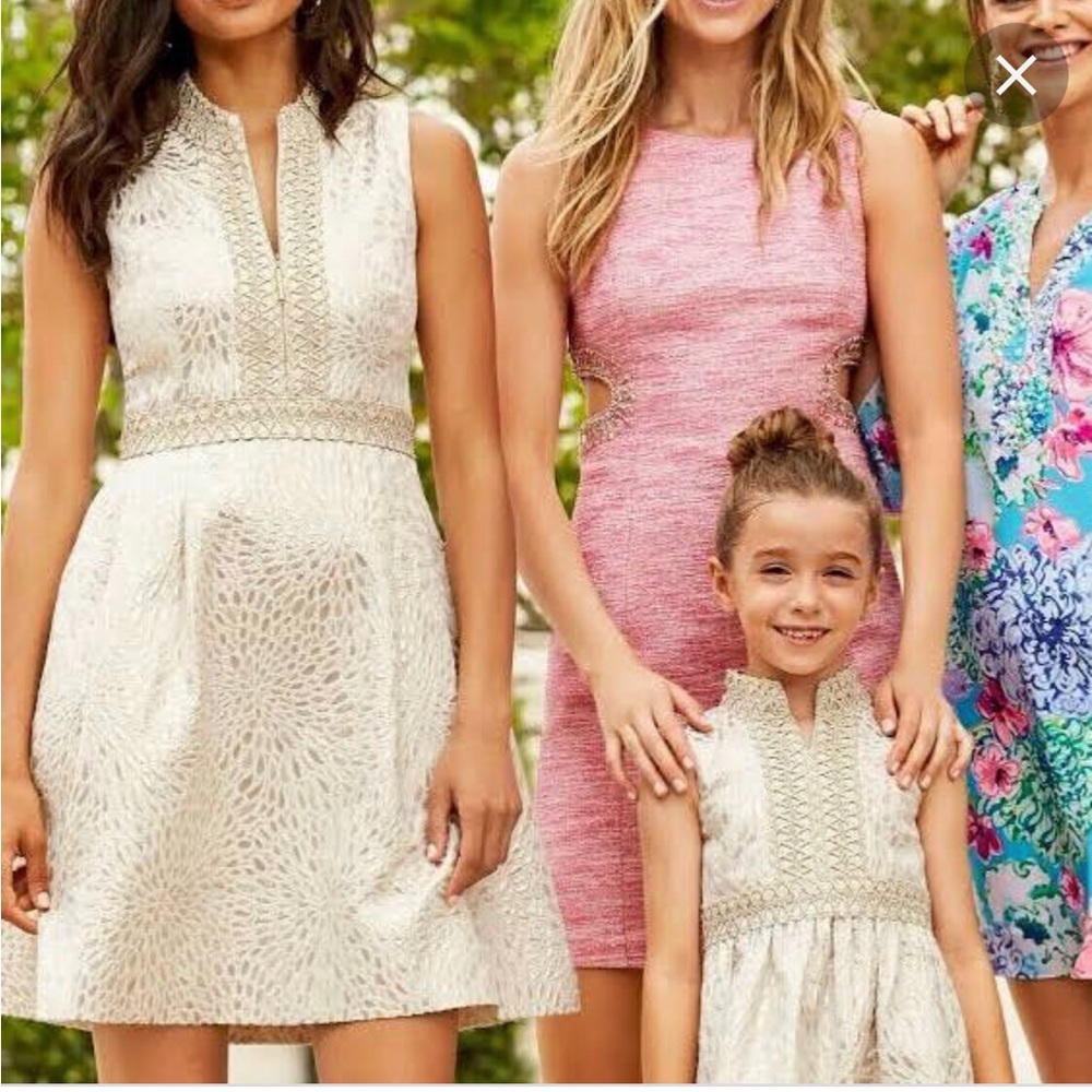 NWT Franci dress size 4